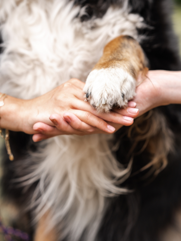 Ein Hund hat die linke Pfote auf den verschränkten Händen der beiden Schwestern gelegt.